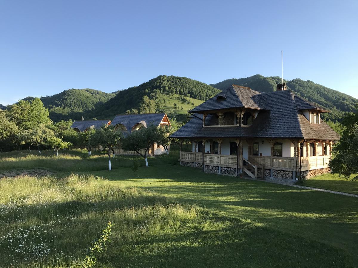 Magnolia Resort Chalets Vişeu de Sus Buitenkant foto