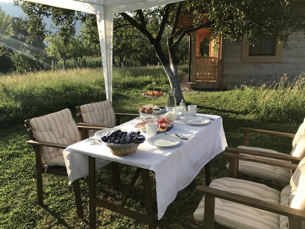 Magnolia Resort Chalets Vişeu de Sus Buitenkant foto